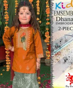 Dhanak Embroidered Suit